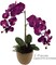 33.5-Inch Real Touch Vibrant Purple Phalaenopsis Orchid Stems - Set of 2 with 9 Lifelike Silk Blooms Each - Ideal for Parties, Weddings, Home & Office Decor - Floral Home by Artificial Flowers